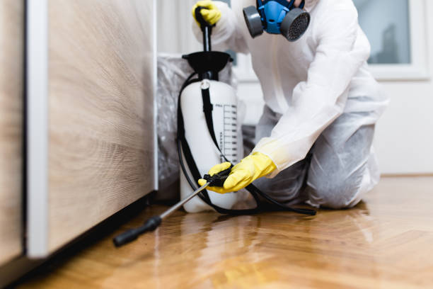 Best Local Pest Control Services  in Paonia, CO