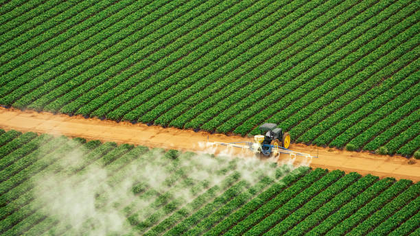 Best Commercial Pest Control Services  in Paonia, CO